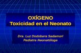 OXÍGENO Toxicidad en el Neonato Dra. Luz Dodobara Sadamori Pediatra Neonatóloga.