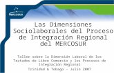 Las Dimensiones Sociolaborales del Proceso de Integración Regional del MERCOSUR Taller sobre la Dimensión Laboral de los Tratados de Libre Comercio y los.