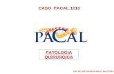 CASO PACAL 1010 PATOLOGIA QUIRÚRGICA DR. FELIPE GARCIA MALO BAUTISTA.