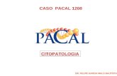 CASO PACAL 1208 CITOPATOLOGIA DR. FELIPE GARCIA MALO BAUTISTA.
