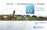 Taller – Biodigestores y Biogas Paraguay 21/06/2012 Pilar.Roman@fao.org.