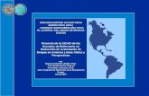ORGANIZACIÓN DE LOS ESTADOS AMERICANOS (OEA) COMISIÓN INTERAMERICANA PARA EL CONTROL DEL ABUSO DE DROGAS (CICAD) Proyecto de la CICAD de las Escuelas de.