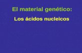 Los ácidos nucleicos El material genético:. Los ácidos nucleicos son: ADN (ácido desoxirribonucleico) ARN (ácido ribonucleico) Son polinucleótidos: polímeros.