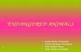 Animals in danger!