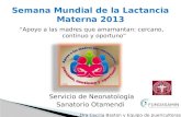 Apoyo a las madres que amamantan: cercano, continuo y oportuno Servicio de Neonatología Sanatorio Otamendi Dra Cecilia Baston y Equipo de puericultoras.