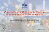 Perspectivas y Retos de la Cadena Industrial del Plástico en México Asociación Nacional de Industrias del Plástico A. C. Reunión de Alto Nivel de la Industria.