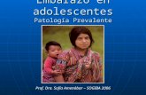 Embarazo en adolescentes Patología Prevalente Prof. Dra. Sofía Amenábar – SOGIBA 2006.