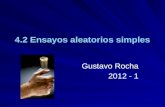 4.2 Ensayos aleatorios simples Gustavo Rocha 2012 - 1.