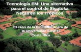 Tecnología EM: Una alternativa para el control de Sigatoka Negra en los Trópicos El caso de la Finca Bananera de la Universidad EARTH Costa Rica.