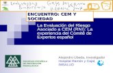 La Evaluación del Riesgo Asociado a CEM (RNI): La experiencia del Comité de Expertos español Alejandro Úbeda, Investigador Hospital Ramón y Cajal, IMSALUD.