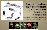 Escribir sobre conocimiento y ciencia en lenguas indígenas Julio César Gallardo Vásquez COLMIX, El Colegio Mixe.