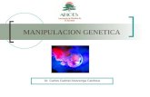 MANIPULACION GENETICA Dr. Carlos Gabriel Alvarenga Cardoza.