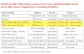 Enfermedades infecciosas y parasitarias cuya epidemiología puede verse afectada en España por el cambio climático Lopez Velez y Molina Moreno, Rev. Esp.
