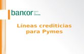 Líneas crediticias para Pymes. Temario COMERCIAL Estructura Detalle de líneas crediticias Red y Servicios TECNICO Breve repaso sobre el sistema financiero.