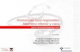 Anestesias loco-regionales. Miembro inferior y cara.  Autores: Antonio González Varela María Pilar Baelo Bodelón Alberto Herrero.