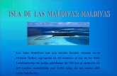 1580 islas-maldivas-( )