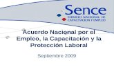 Septiembre 2009 Acuerdo Nacional por el Empleo, la Capacitación y la Protección Laboral.