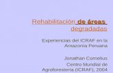 RehabilitaciónRehabilitación de áreas degradadas degradadas Rehabilitación degradadas Experiencias del ICRAF en la Amazonía Peruana Jonathan Cornelius.
