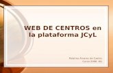 WEB DE CENTROS en la plataforma JCyL Palatino Álvarez de Castro. Curso 2008 -09.