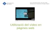 Utilització del vídeo en pàgines web Curs Universitat dEstiu UIB-UOC 2008 Introducció al Tractament dImatges Digitals.