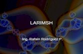 LARIMSH. Larimsh Producto diseñado para la reparación de ADN, enfocado como terapia para Cáncer.