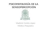 PSICOPATOLOGÍA DE LA SENSOPERCEPCIÓN Vladimir Cortés López Médico Psiquiatra.