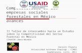 Competitividad de las empresas sociales forestales en México avances II Taller de intercambio hacia un Estudio sobre la Competitividad del Sector Forestal.