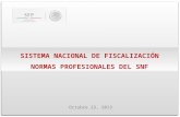 SISTEMA NACIONAL DE FISCALIZACIÓN NORMAS PROFESIONALES DEL SNF Octubre 23, 2013.
