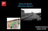 Muro de Berlín (Berliner Mauer) Catalina Pamplona Javiera Correa.