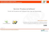 Servicio Pruebas de Software v1.0 (CESJE)