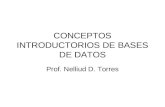 CONCEPTOS INTRODUCTORIOS DE BASES DE DATOS Prof. Nelliud D. Torres.