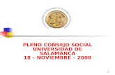 1 PLENO CONSEJO SOCIAL UNIVERSIDAD DE SALAMANCA 18 – NOVIEMBRE – 2008.