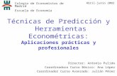 Técnicas de Predicción y Herramientas Econométricas: Aplicaciones prácticas y profesionales Director: Antonio Pulido Coordinadora Curso Básico: Ana López.