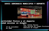 XXVII SEMINARIO MUNICIPIO Y DEPORTE Por: Andrés Moreno Jefe Sección de Juegos Escolares Gobierno de Aragón La actividad física y el deporte en edad escolar.