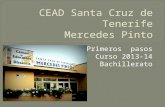 Presentación curso 13-14 CEAD Santa Cruz de Tenerife Mercedes Pinto
