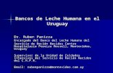Bancos de Leche Humana en el Uruguay Dr. Ruben Panizza Encargado del Banco del Leche Humana del Servicio de Recién Nacidos Centro Hospitalario Pereira.