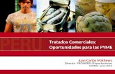 Juan Carlos Mathews Director PROMPERU Exportaciones COMEX, Junio 2010 Tratados Comerciales: Oportunidades para las PYME.