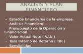Análisis y plan financiero