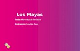 Los Mayas Texto: Mercedes de la Garza. Ilustración: Arnaldo Coen.