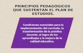 PRINCIPIOS PEDAGÓGICOS QUE SUSTENTAN EL PLAN DE ESTUDIOS. Condiciones esenciales para la implementación del currículo, la transformación de la práctica.
