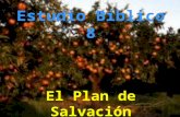 Estudio Bíblico 8 El Plan de Salvación. ¿Cuáles son las consecuencias del pecado? Lea Isaías 59:1-2 He aquí que no se ha acortado la mano de Jehová para.