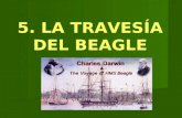 Darwin 5. El Viaje Del Beagle