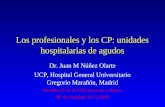 Los profesionales y los CP: unidades hospitalarias de agudos Dr. Juan M Núñez Olarte UCP, Hospital General Universitario Gregorio Marañón, Madrid Jornada.