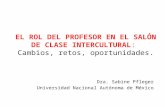 Dra. Sabine Pfleger Universidad Nacional Autónoma de México.