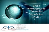 Grupo internacional de desarrollo economico   perfil