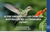ACERCAMIENTO A LAS CIENCIAS NATURALES EN LA PRIMARIA (ACNP) SEGUNDO SEMESTRE PLAN DE ESTUDIOS, 2012.