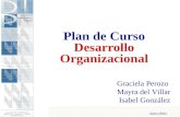 Junio 2004 Plan de Curso Desarrollo Organizacional Graciela Perozo Mayra del Villar Isabel González.