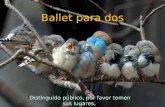 Ballet de los pajaros (ll)c