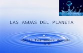 T 10 las aguas del planeta Maria Fernández