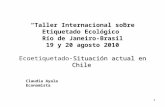 1 Situación actual en Chile Taller Internacional sobre Etiquetado Ecológico Río de Janeiro-Brasil 19 y 20 agosto 2010 Ecoetiquetado-Situación actual en.